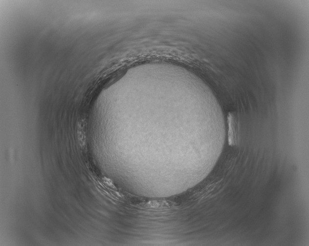 X0000052571491200507221448