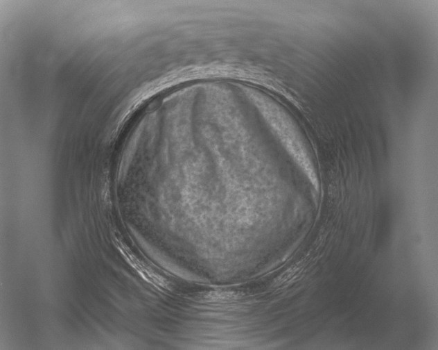 X0000052571499200507221448