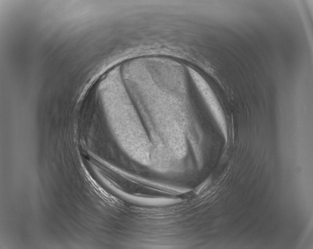 X0000052571500200507221448