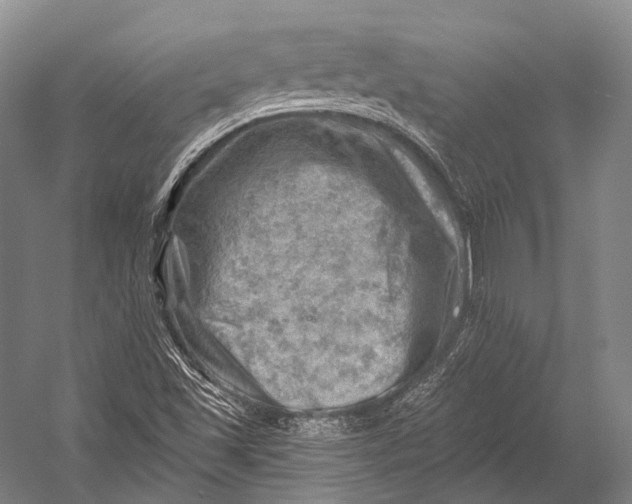 X0000052571501200507221448