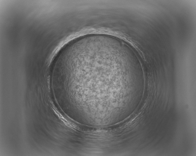 X0000052571503200507221448