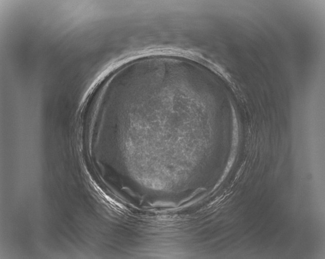 X0000052571504200507221448