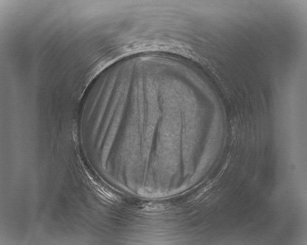 X0000052571505200507221448