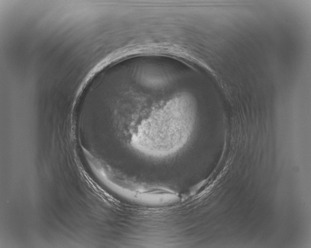 X0000052571506200507221448