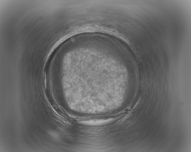 X0000052571509200507221448