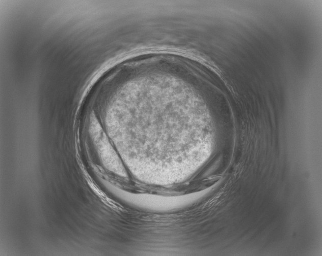 X0000052571511200507221448