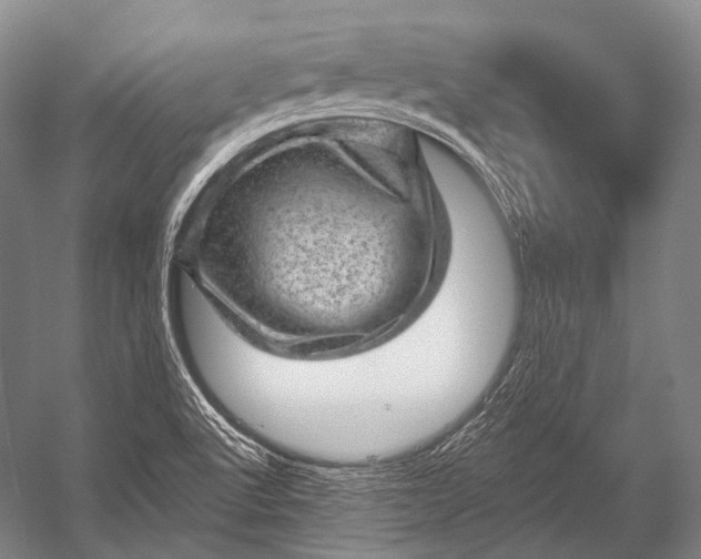 X0000052571512200507221448