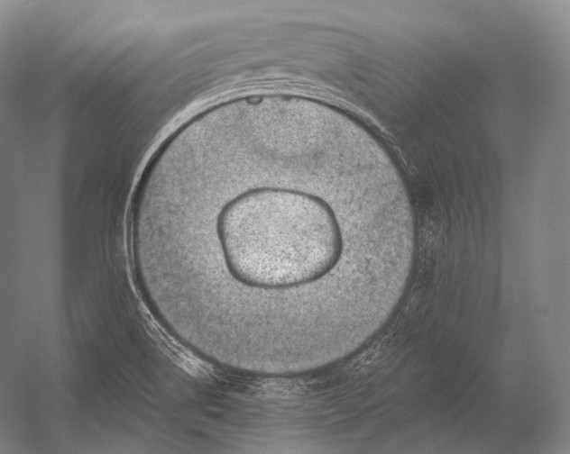 X0000052571514200507221448