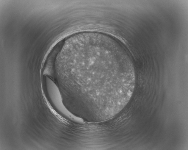 X0000052571515200507221448