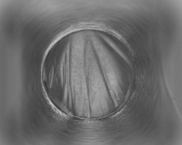 X0000052571520200507221448