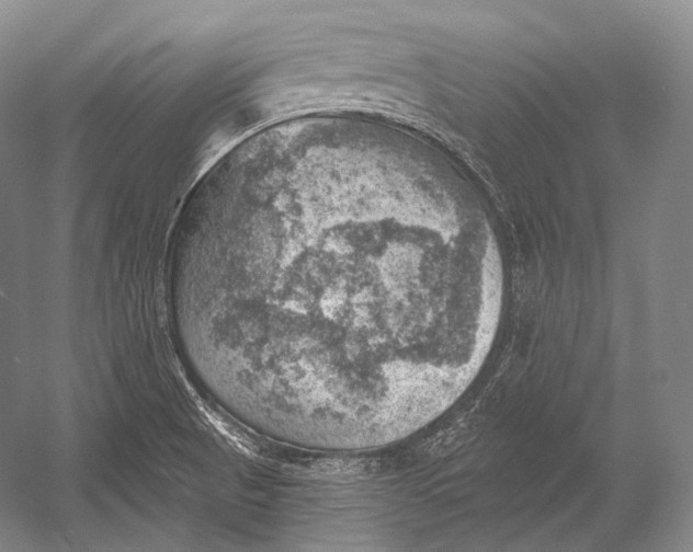 X0000052571521200507221448