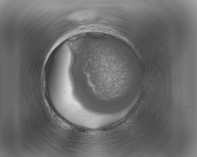 X0000052571522200507221448