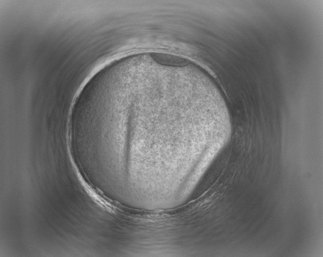 X0000052571523200507221448