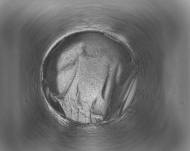 X0000052571524200507221448