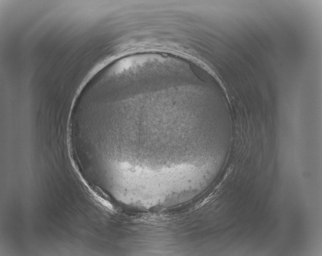 X0000052571525200507221448