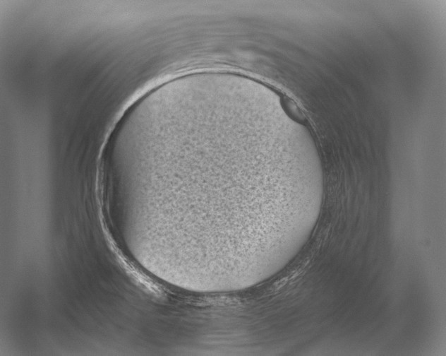 X0000052571526200507221449