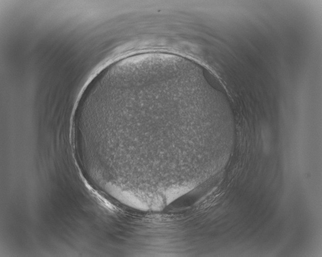 X0000052571527200507221449