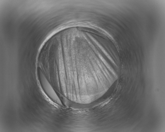 X0000052571528200507221449