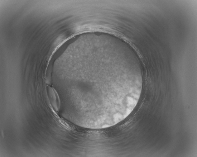 X0000052571529200507221449