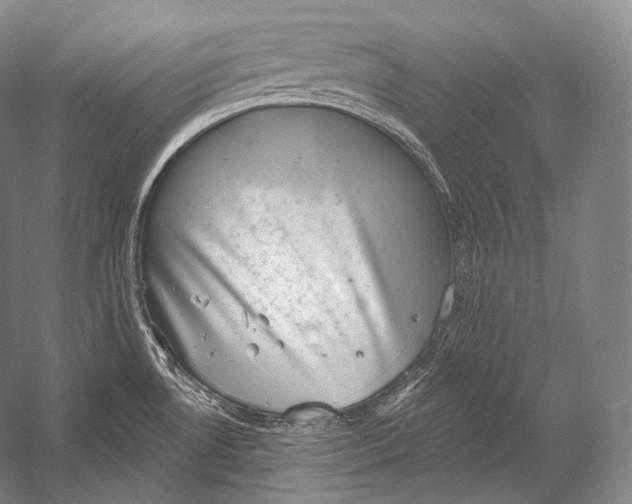 X0000052571530200507221449