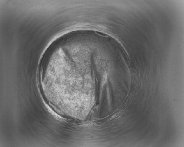 X0000052571531200507221449