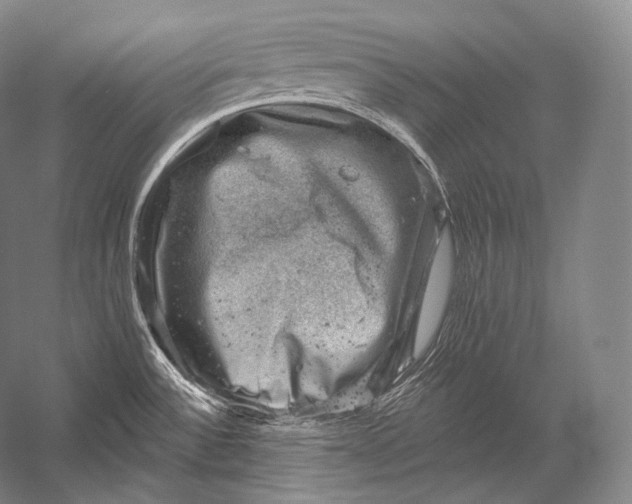 X0000052571532200507221449