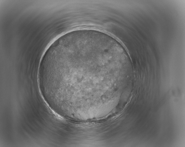 X0000052571533200507221449