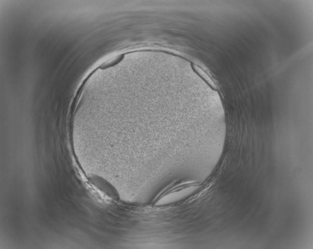 X0000052571534200507221449