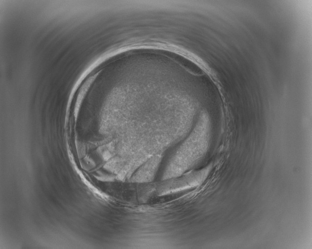 X0000052571536200507221449