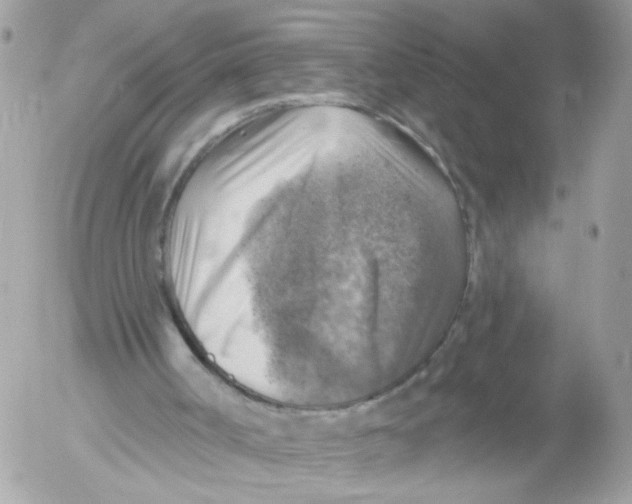 X0000052570002200507292018