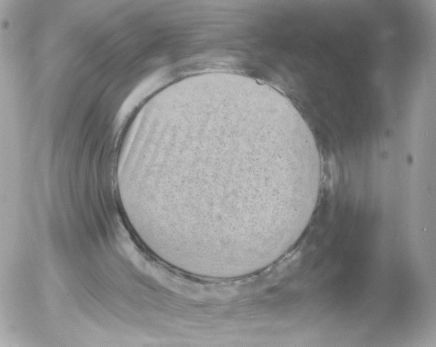 X0000052570004200507292018