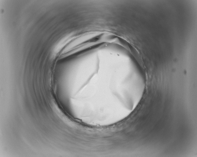 X0000052570005200507292018