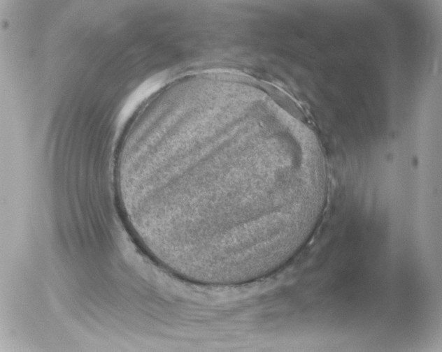 X0000052570006200507292018