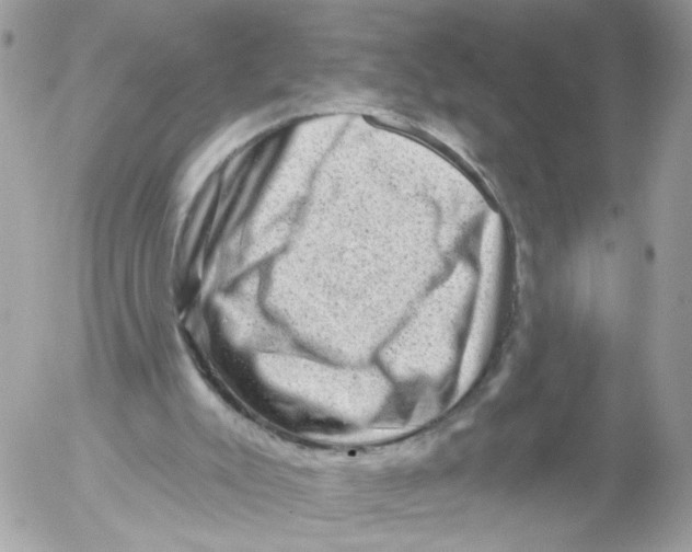 X0000052570007200507292018