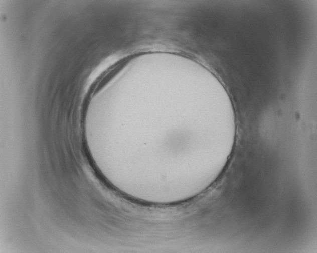 X0000052570008200507292018