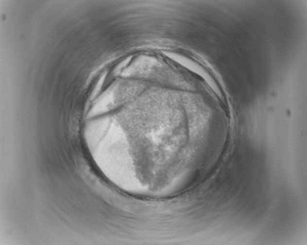 X0000052570010200507292018