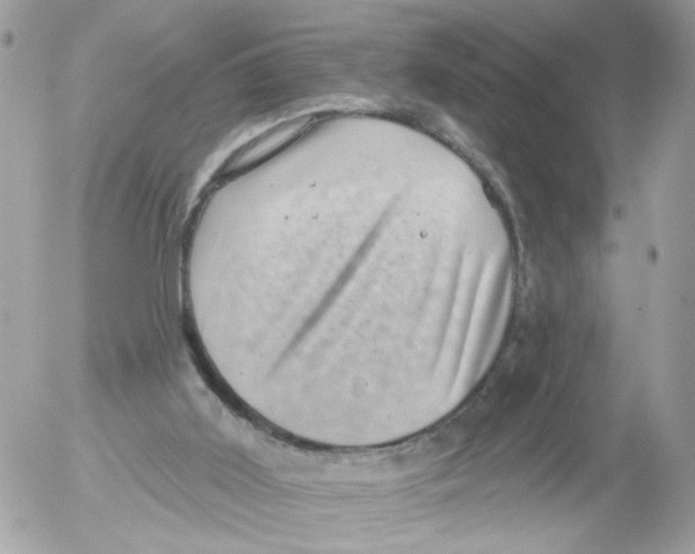 X0000052570011200507292018