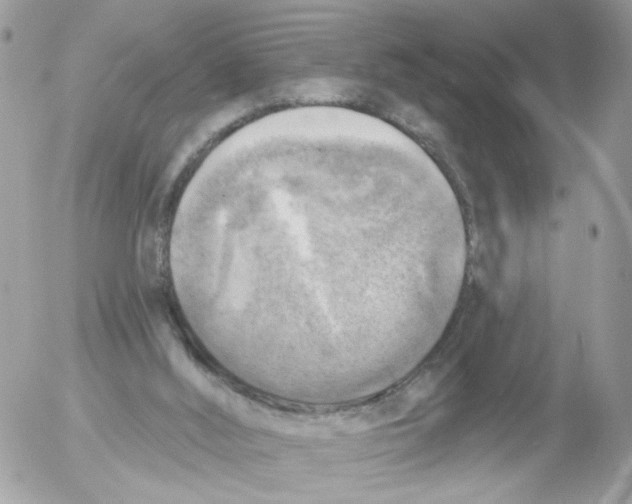 X0000052570012200507292018