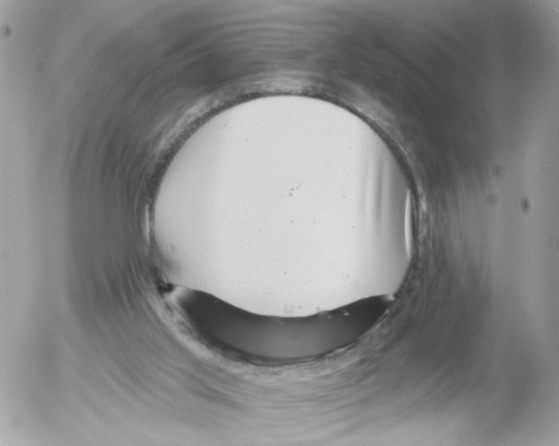 X0000052570013200507292018