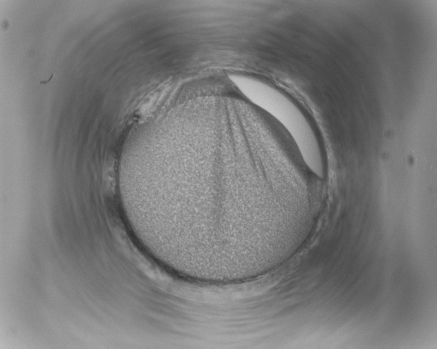 X0000052570017200507292018