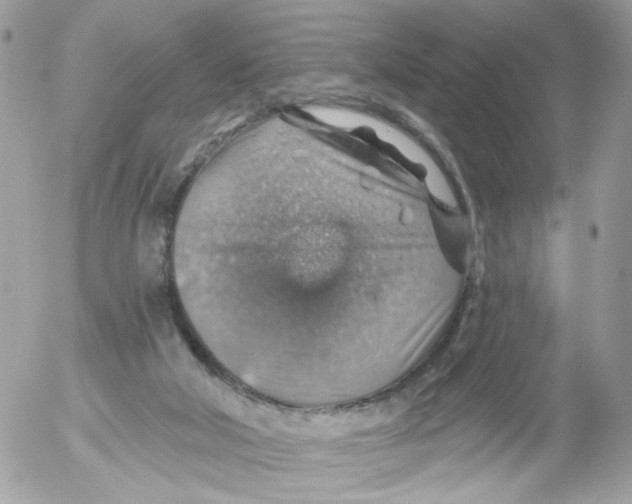 X0000052570018200507292018