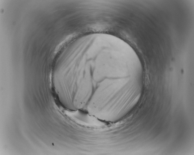 X0000052570019200507292018