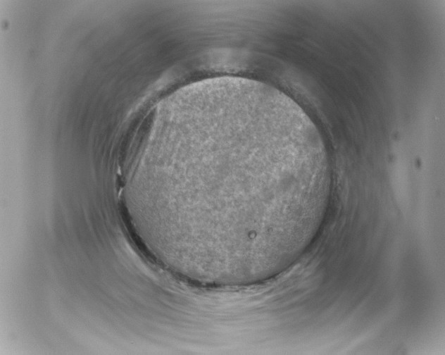 X0000052570020200507292018