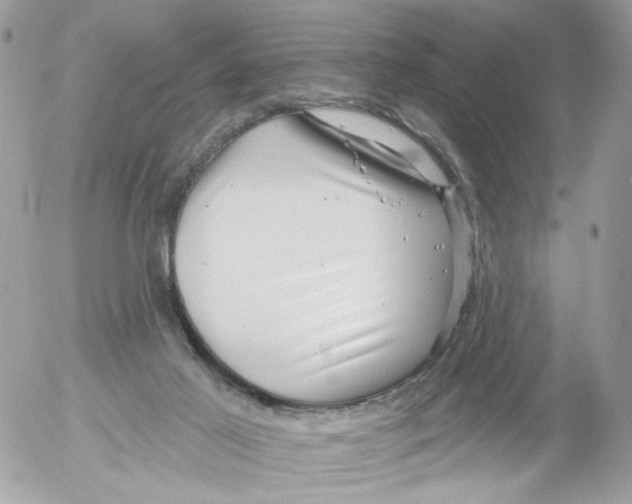 X0000052570021200507292018