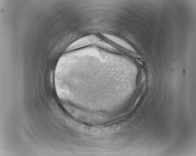 X0000052570022200507292018