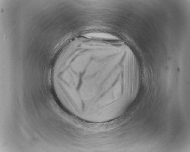 X0000052570023200507292018