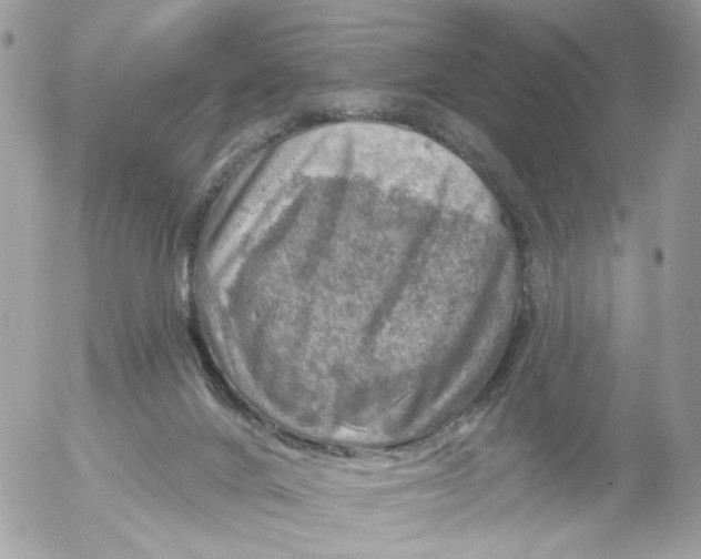 X0000052570024200507292018