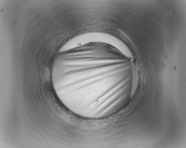 X0000052570025200507292018