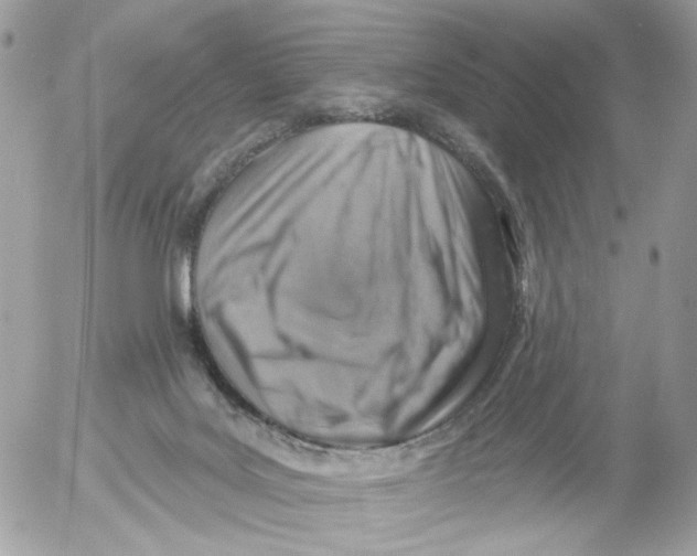 X0000052570027200507292018