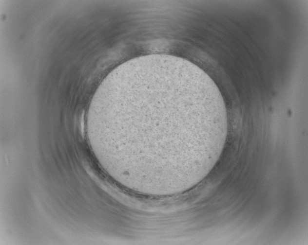 X0000052570028200507292018